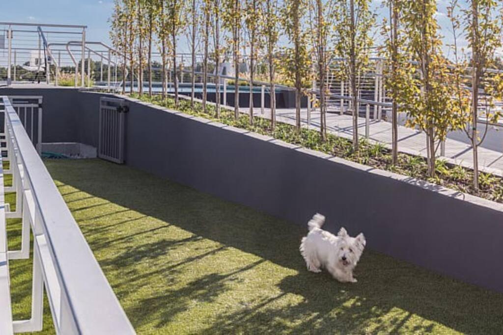 Modern, Chic, Great Location Washington Exterior foto